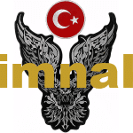 Kartal Bayrak Motosiklet Mont Nakış Arma işleme Patch 2 Parça Bayrak 10x10 cm & Kartal 33x26 cm
