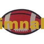 Amerikan Futbol Topu Nakış işleme Arma Patch 8x5 cm