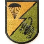 Paraşüt Akrep Team Nakış işleme Arma Patch 9x7 cm