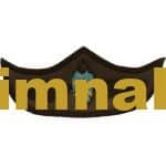 SERBEST PARAŞÜT NAKIŞ İŞLEME ARMASI