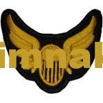 Havacı Kanatlar nakış işleme arma patch 6x5 cm
