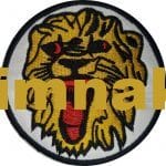 Arslan Kafası nakış işleme arma patch 8x8 cm - Görsel 3