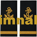 Denizci Gemici Güverte Gold Renk Tek Sırma Apolet 12x6 cm
