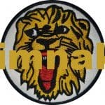 Arslan Kafası nakış işleme arma patch 8x8 cm - Görsel 2