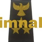 Kartal 3 Yıldız Apolet Nakış işleme Haki Gold 1.çift