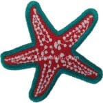 Deniz yıldızı nakış işleme arma patch 6x6 cm