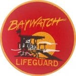 Lifeguard Cankurtaran nakış işleme arma patch 9x9 cm