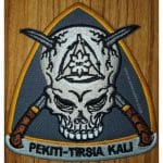 PEKITI TIRSIA KALI nakış işleme arma patch peç 9x9 cm