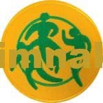 UXXX Cup 2004-2009 Sleeve Soccer spor nakış işleme arma patch peç 9x9 cm - Görsel 2
