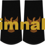 Kartal Apolet Nakış işleme Siyah Gold 1.çift 12x6 cm