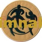 UXXX Cup 2004-2009 Sleeve Soccer spor nakış işleme arma patch peç 9x9 cm - Görsel 3