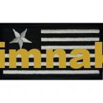 Bayrak nakış işleme arma patch peç 8×4.5 cm