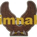 Eagle Kartal nakış işleme arma patch peç 9x9 cm