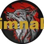 Kurt çakal nakış işleme arma patch peç 10x10 cm