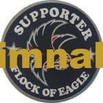 Supporter Flock Of Eagle nakış işleme arma patch peç 20x20 cm