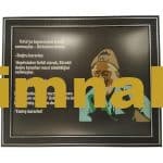 Atasözü nakış işlemeli resim ve yazıları çerçeve 40x50 cm Duvara asılır