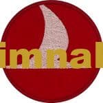 THY Logo Nakış İşleme Arma Patch Peç 7x7 cm