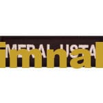 Personel isimliği Nakış işleme arma patch peç 3x10 cm