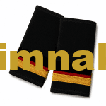 Havacılık Apoleti Gold Sırma Şerit Arası Kırmızı Stajyer Teknisyen / Junior Technician 9x4.5 cm