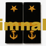 Denizcilik Kaptan Apoleti Gold Sırma 3. Kaptan (Üçüncü Zabit / Third Officer)  12x6 cm