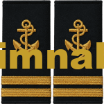 Denizci Gemici Güverte Gold Renk İki Sırma Apolet 12x6 cm