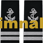 Denizci Gemici Güverte Silver Renk İki Sırma Apolet 12×6 cm