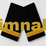 Havacı Havacı Öğrenci Pilot / Junior First Officer Apolet Gold Sırma Şerit 9x4.5 cm