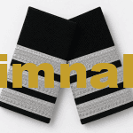 Havacılık First Officer (Yardımcı Pilot) Gümüş Sırma Apolet 9x4,5 cm