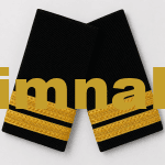 Havacı Uçuş Mühendisi Second Officer Apolet Gold Sırma Şerit 9x4.5 cm