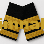 Havacı First Officer (Yardımcı Pilot) Apolet Gold Sırma Şerit 9x4.5 cm