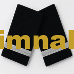 Havacılık Öğrenci Pilot / Junior First Officer Gümüş Sırma Apolet 9x4,5 cm